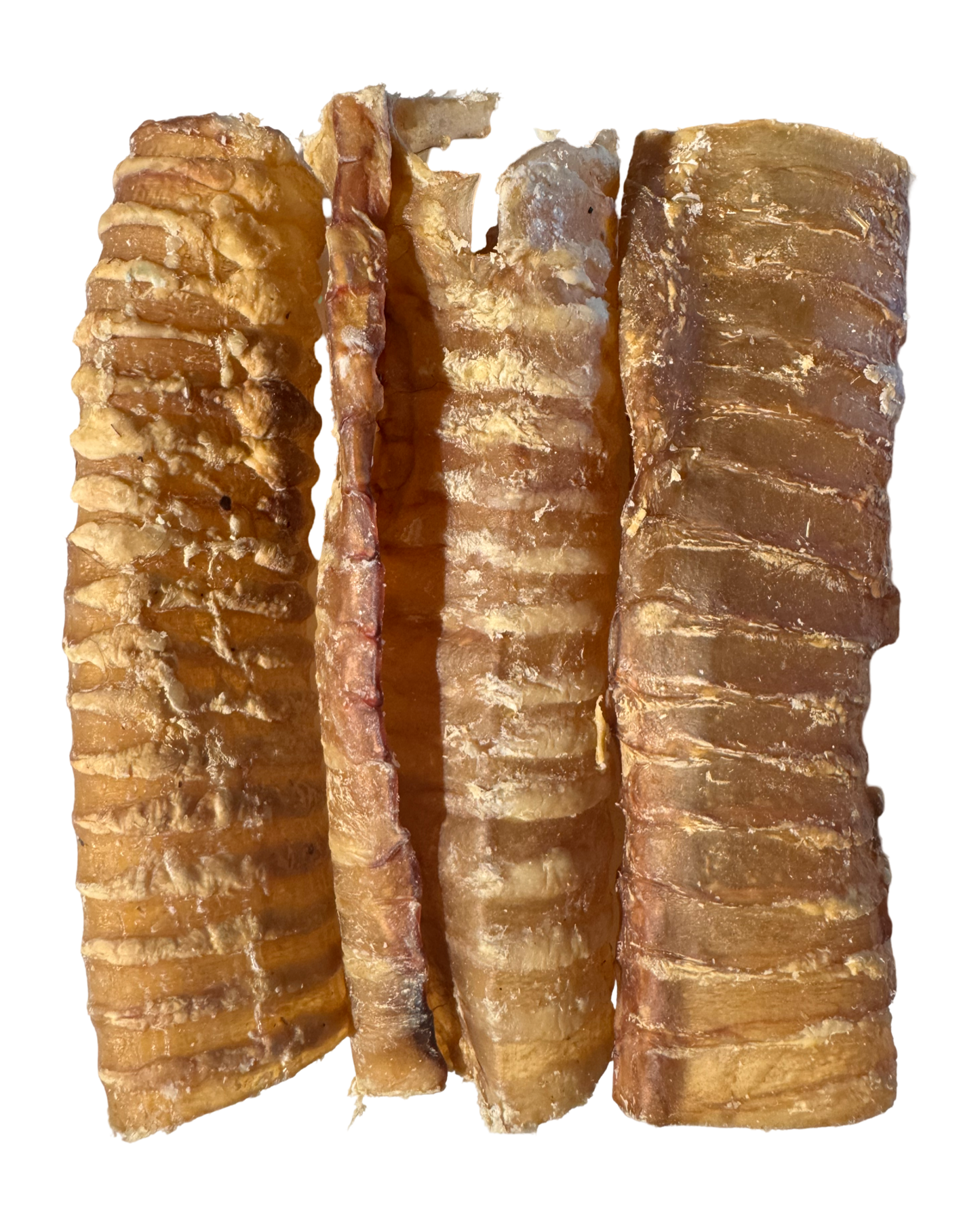 5-6 Inch Beef Trachea